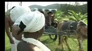 As Negras da senzala